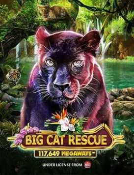 Big Cat Rescue Megaways