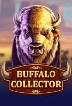 Buffalo Collector