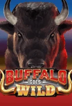 Buffalo Goes Wild