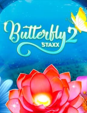 Butterfly Staxx 2