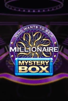 Millionaire Mystery Box