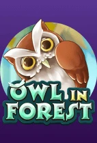 Owl In Forest