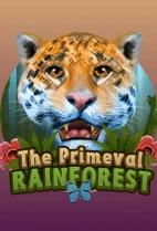 Primeval Rainforest