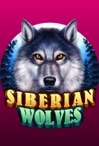 Siberian Wolves