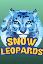 Snow Leopards