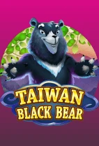 Taiwan Black Bear