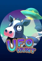 UFO Hunt