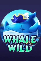 Whale Wild