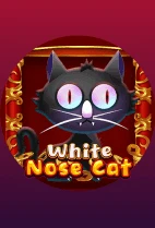 White Nose Cat