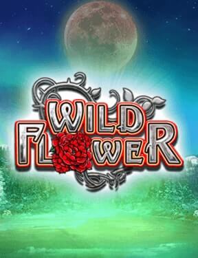 Wild Flower