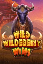 Wild Wildebeest Wins