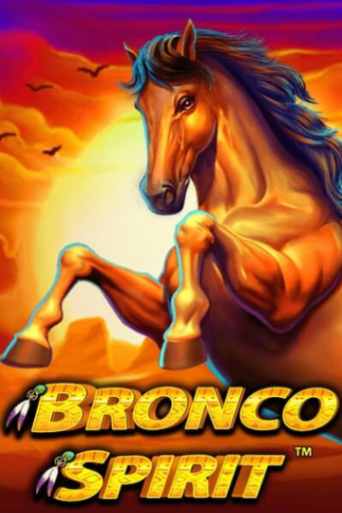 Bronco Spirit