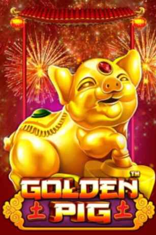 Golden Pig