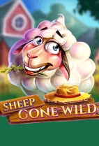 Sheep Gone Wild