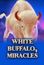 White Buffalo Miracles