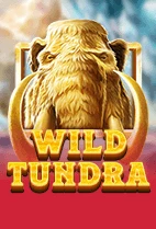 Wild Tundra